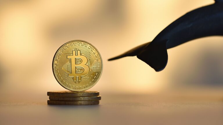 Kurumsal Yatırımcı, Bitcoin’in Dip Seviyede Olduğunu Düşünerek Büyük Alım Yaptı